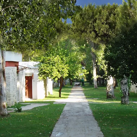 Porto Rio Patras